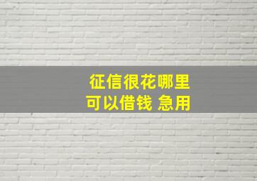 征信很花哪里可以借钱 急用